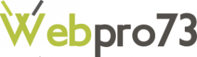 Логотип компании Веб-Про
