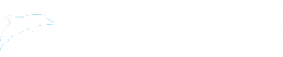 Логотип компании Дельфин Групп