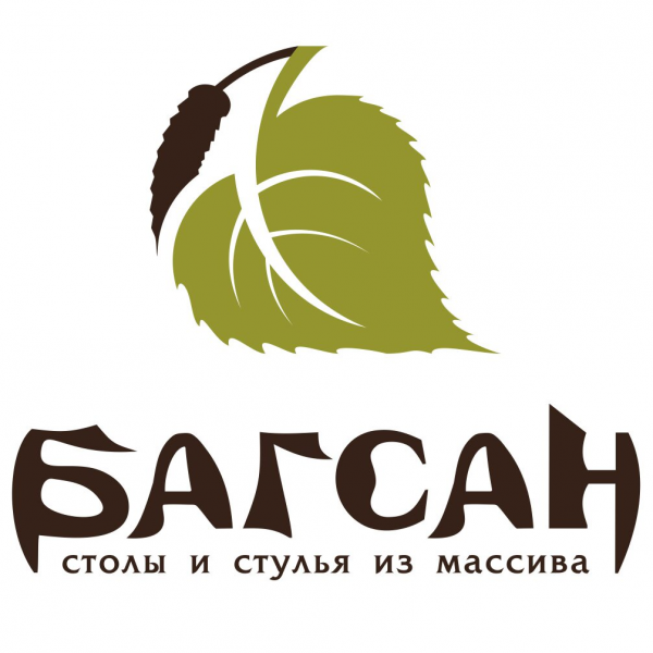 Логотип компании «Багсан»